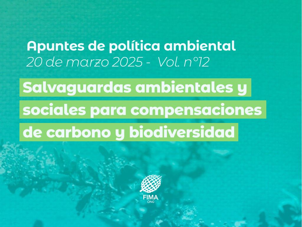 Apunte de Política Ambiental 12: Salvaguardas ambientales y sociales para compensaciones de carbono y biodiversidad