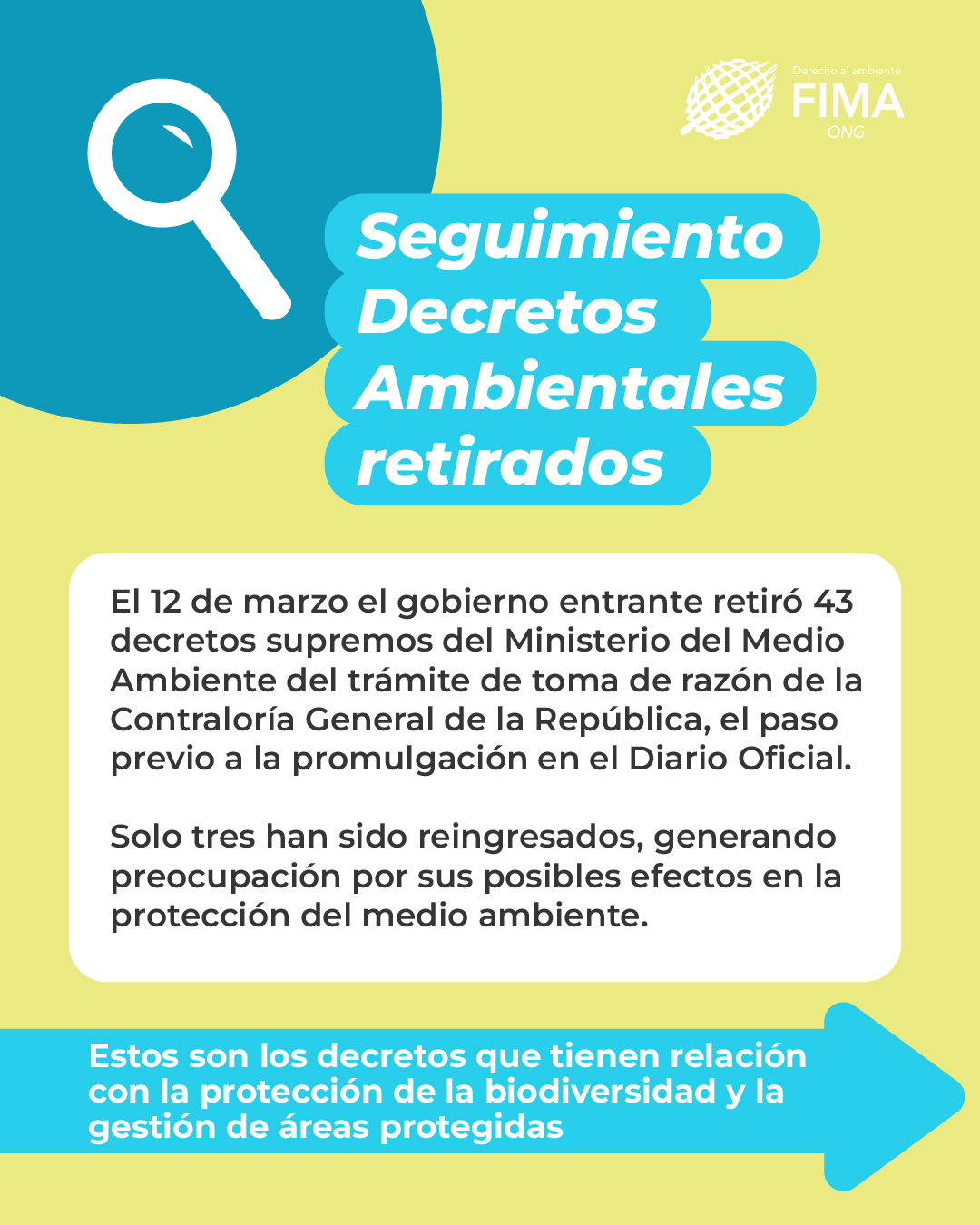 decretos retirados 3-1